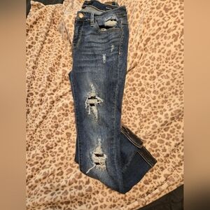 Judy Blue Skinny Jeans